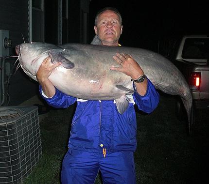 96 lb blue.jpg