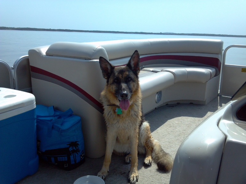 2012-07-05_10-47-44_433 (800x600).jpg