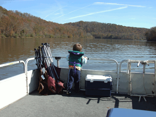 the boss 640 gif.gif