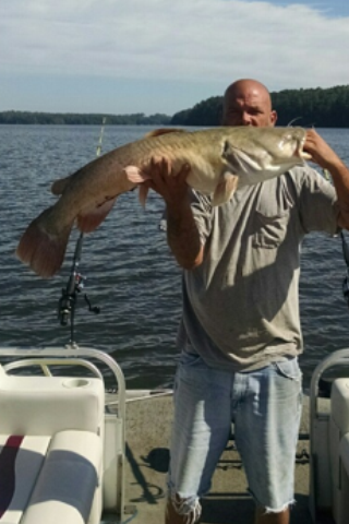 flathead.png