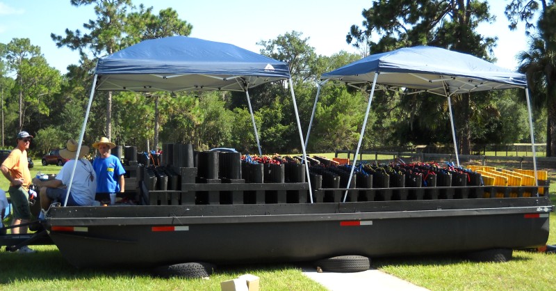 fireworks toon 2.jpg