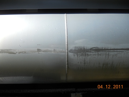 premierpolish 002.jpg