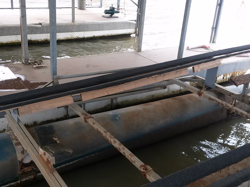 new bunk placement_lr.jpg