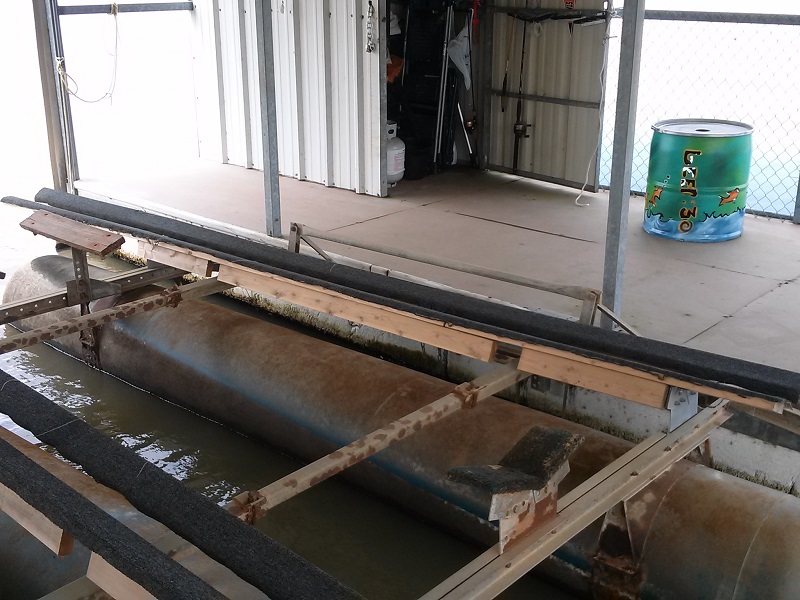 old bunk placement_lr.jpg