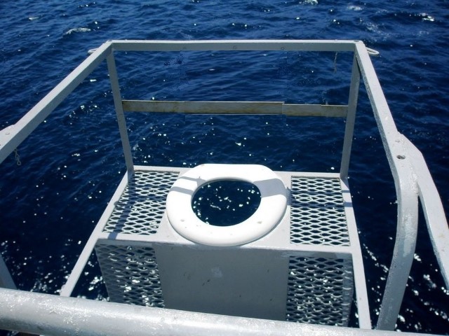 toilet (Custom).jpg