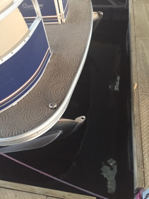 01c1ee3f92222c1aa60278da9b9539e10e117cf38c (Custom).jpg