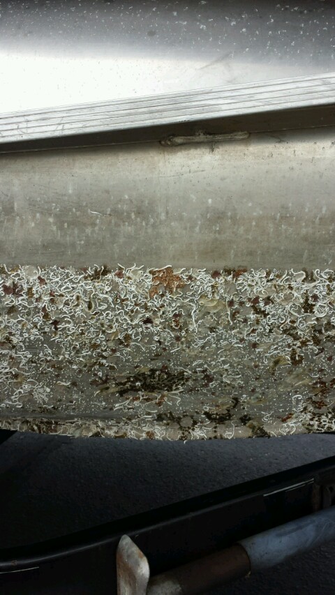 toon crud resize.jpg