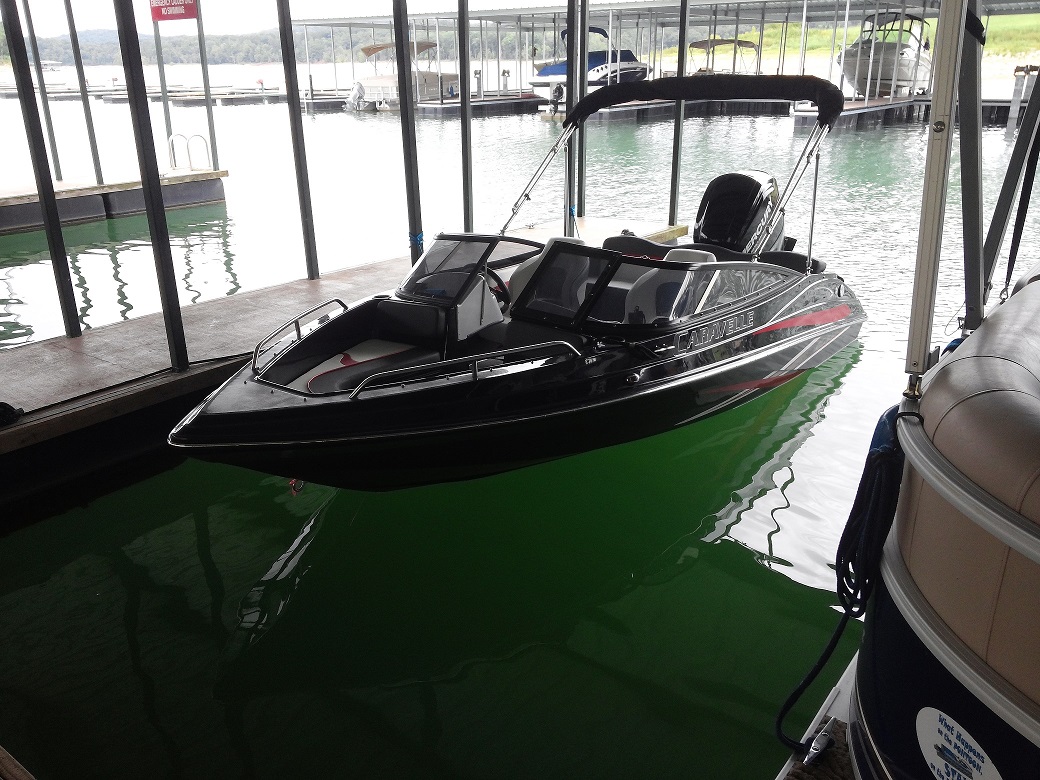 Port Fwd Profile.jpg