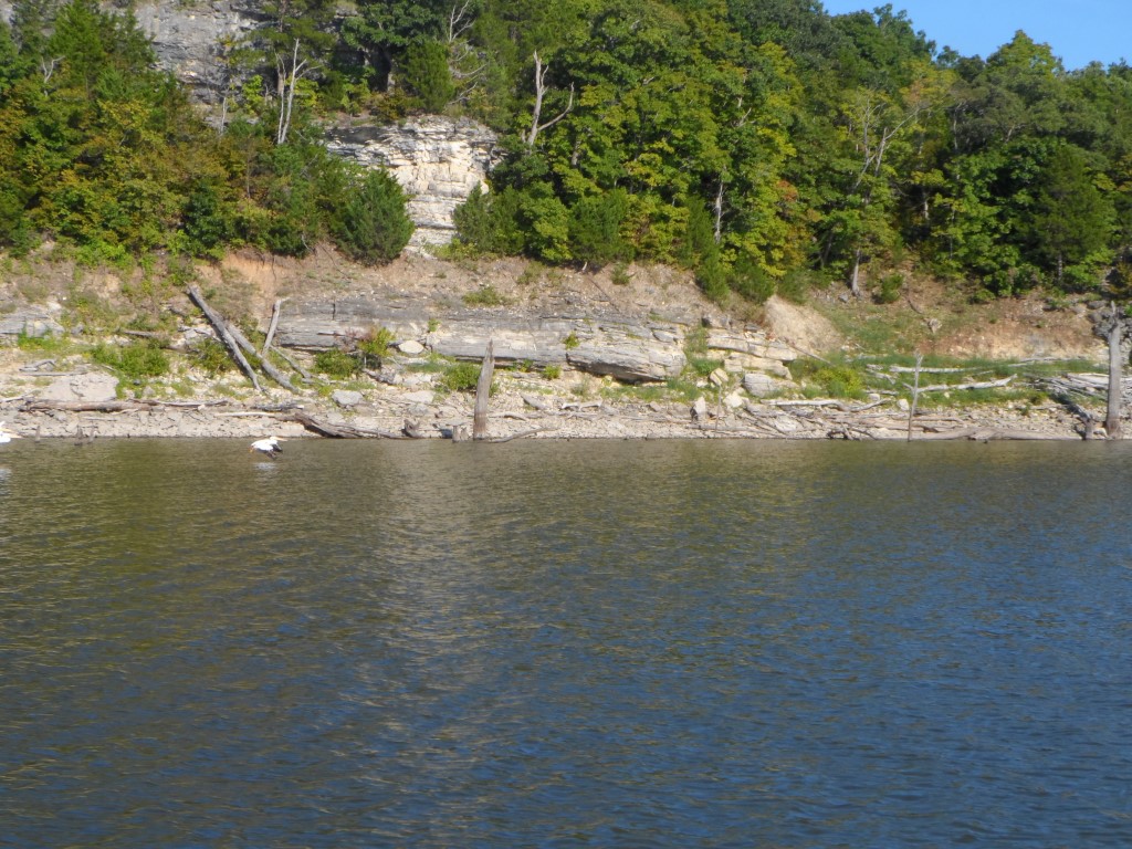 SAM_5350 (Medium).JPG