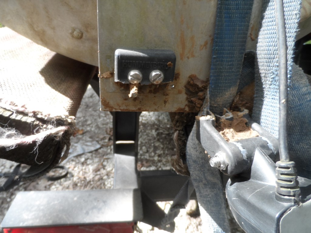 SAM_5354 (Medium).JPG