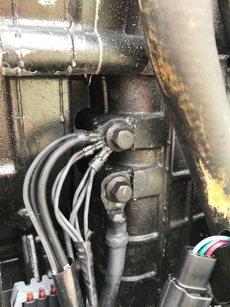 2017-05-11 14.44.51.jpg