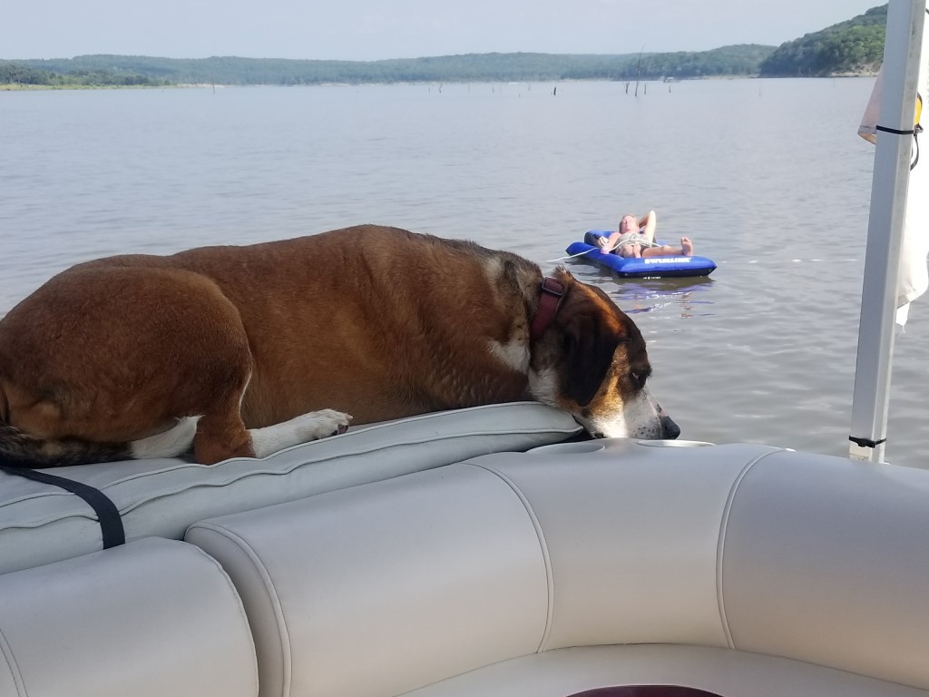 20170903_161117 (Medium).jpg