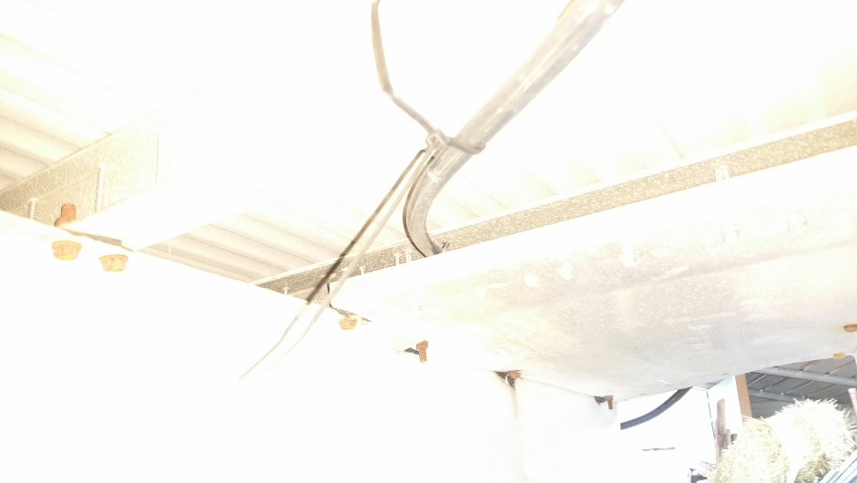 2018-05-01 19.02.15.jpg