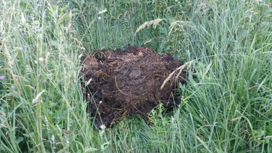 2018-06-12 19.22.24.jpg