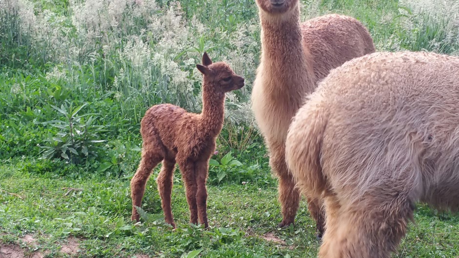 2018-06-11 19.42.30.jpg