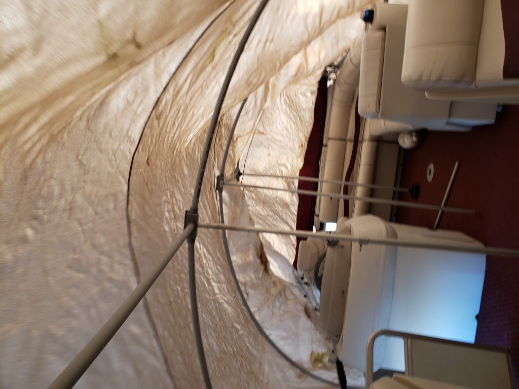 20201115_145956 (Medium).jpg