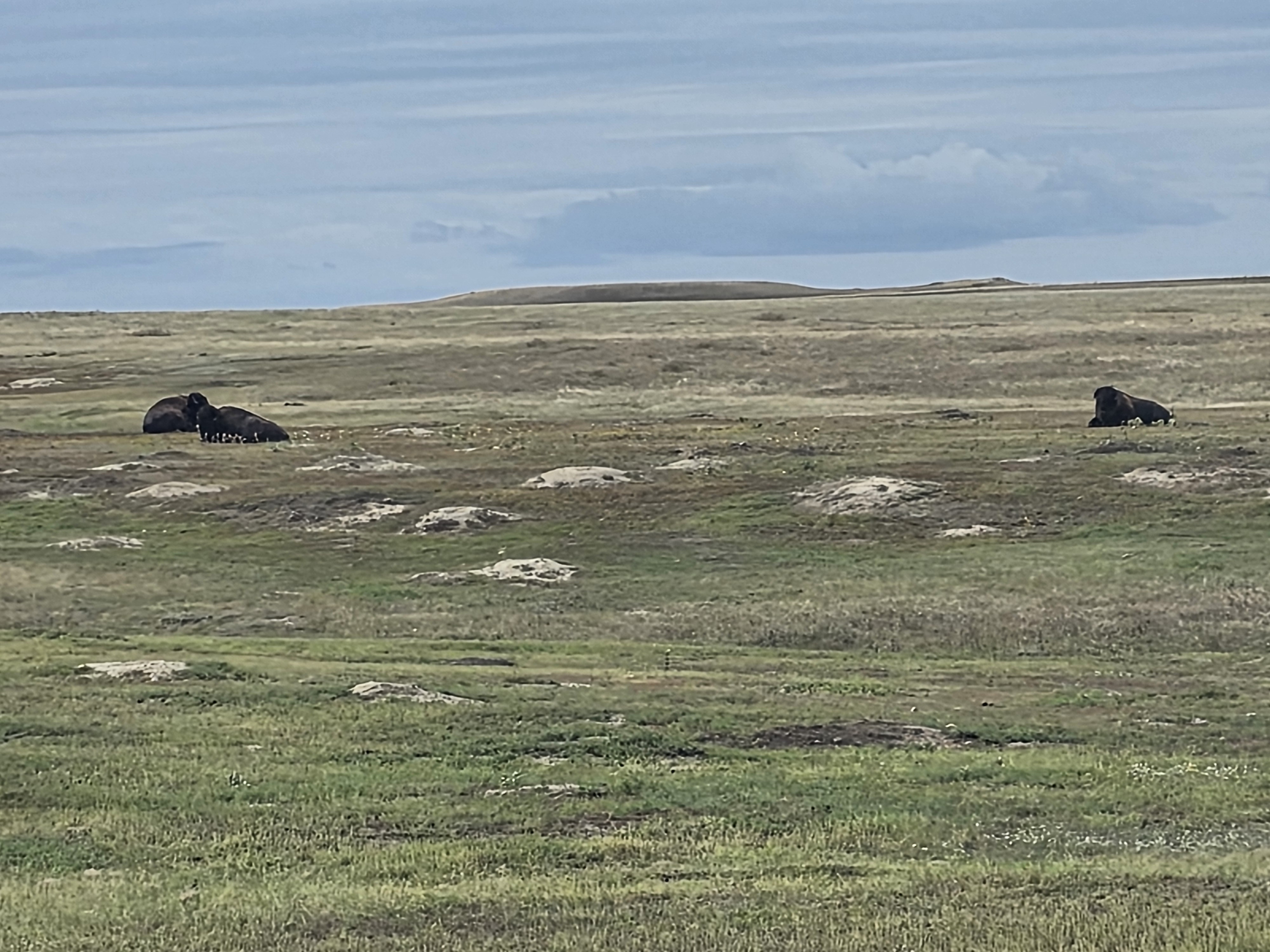 20250914_112920.jpg