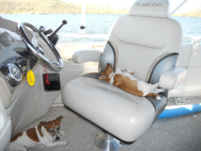 sleepy captain small.jpg