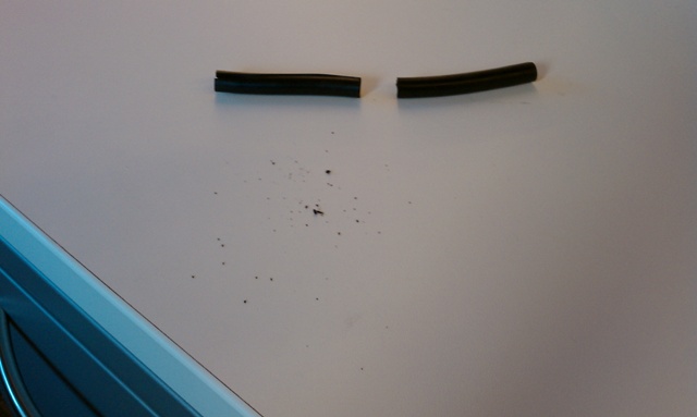 IMAG0054.jpg