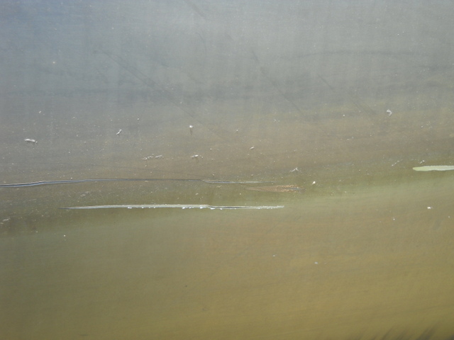 1-DSCN1154.JPG
