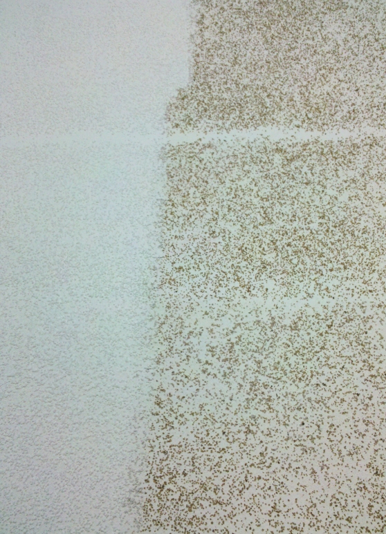 toon deck coating.jpg